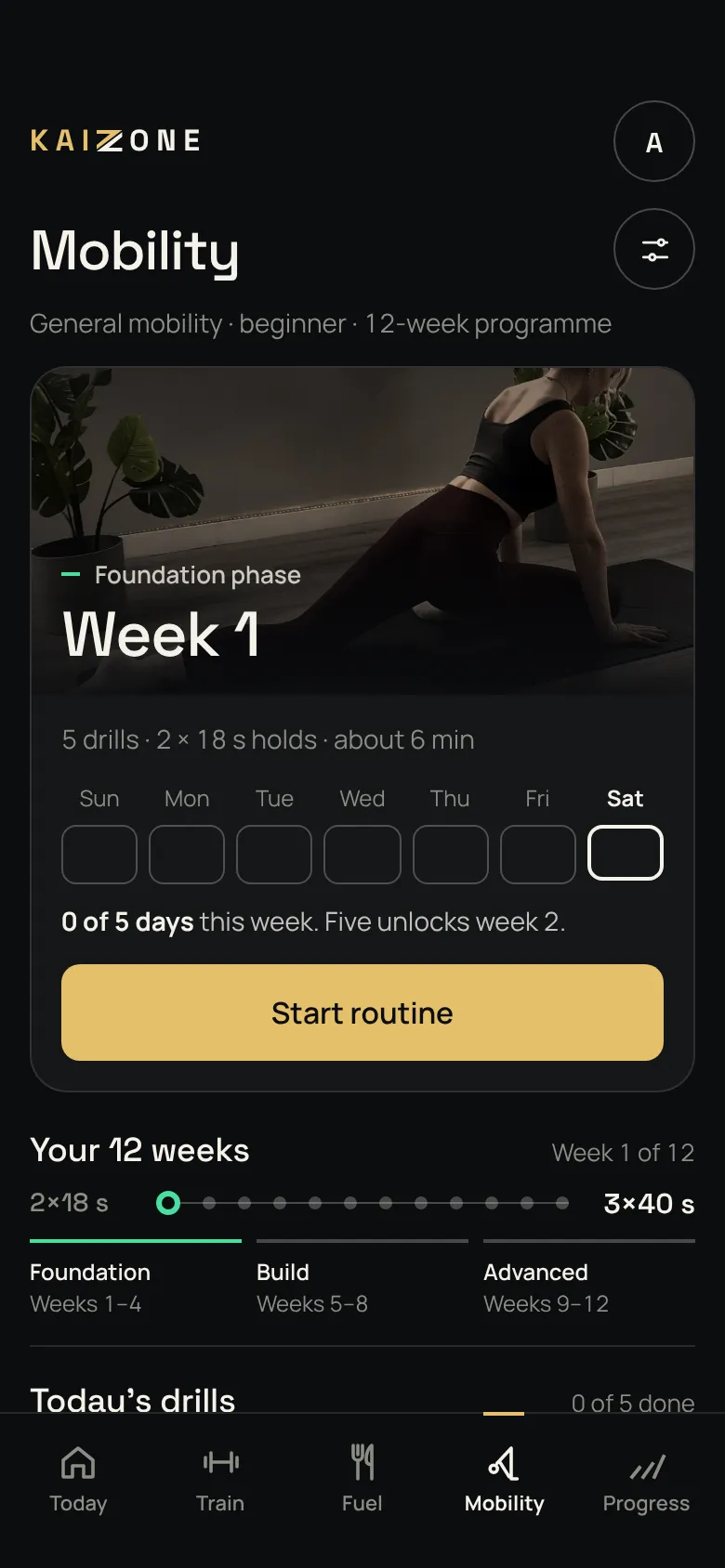 Mobility screen: week 1 of the foundation phase, a weekly tracker and the 12-week track (sample data)